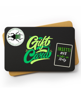 gift-card-100-euro